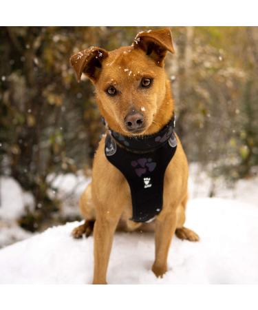 Hurtta Weekend Warrior Dog Harness | Adjustable 100-120 cm | Durable Raven Color | Best for Large Dogs 39-47 in - Buy Online on GoSupps.com