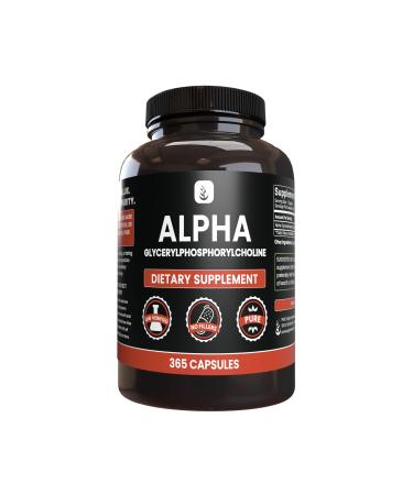 PURE ORIGINAL INGREDIENTS Alpha Glycerylphosphorylcholine (Alpha GPC) (365 Capsules) No Magnesium Or Rice Fillers Always Pure Lab Verified 365.0 Servings (Pack of 1)