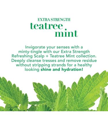 OGX Extra Strength Refreshing Scalp + Teatree Mint Shampoo Invigorating Scalp Shampoo with Tea Tree & Peppermint Oil & Witch Hazel Paraben-Free Sulfate-Free Surfactants 13 Fl Oz - Buy Online on GoSupps.com