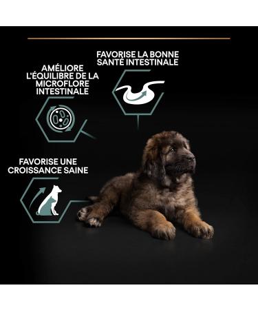 PURINA PRO PLAN | Large Robust Puppy 2 Sensitive Digestion | Rich in Lamb | Dry Food | Puppy | 12kg Bag - Buy Online on GoSupps.com