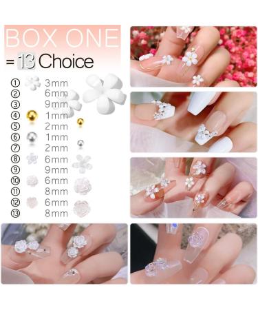 2400pcs 3D Nail Charms Kit: Flower Butterfly Bear Bow in White/Aurora Rose, Golden Silver Metal Caviar Beads, Rhinestones & Resin Flowers for Nail Art - 2 Box Mix Flowers & More - Buy Online on GoSupps.com