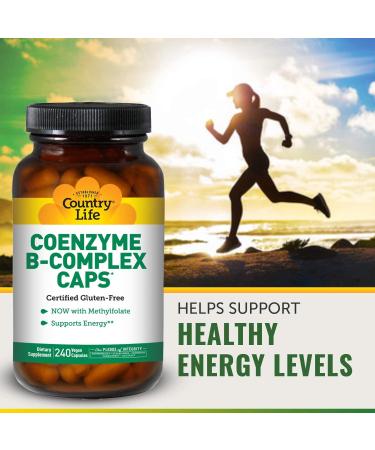 Country Life Coenzyme B-Complex 240 Vegan Capsules | Energy & Immune Support - Buy Online on GoSupps.com
