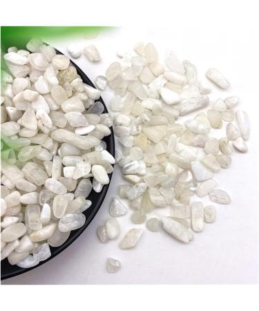 Natural Crystal Rough 50g Natural White Moonstone Gravel Stones Crystal Rock Quartz Specimen Natural Quartz Crystals Home Decoration ERTEYIN - Buy Online on GoSupps.com