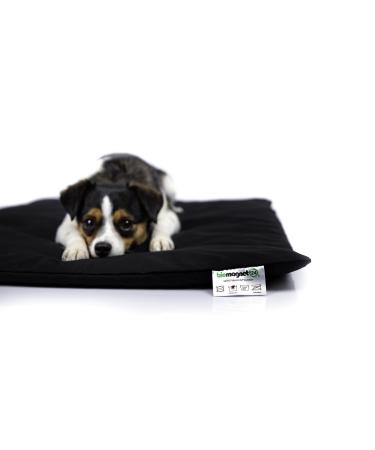 Biomagnet24 80cm x 60cm magnetic field mat magnetic field ceiling magnetic field therapy for animals for treatment for osteoarthritis spondylosis hip dysplasia elbow dysplasia in dog and cat