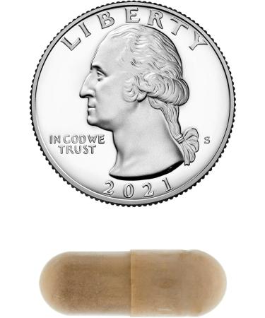 Spring Valley Ceylon Cinnamon Capsules 1200 mg Capsules Support Metabolism * 120 Count | Non-GMO & Gluten Free Pills (Pack of 1) - Set by Basket Goods - Buy Online on GoSupps.com