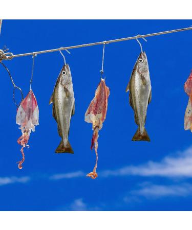 Vegena 10-Piece Stainless Steel Incense Hooks Set - Ideal for Trout Fishing & Smoking | Durable Fish Hooks for Grilling - Buy Online on GoSupps.com