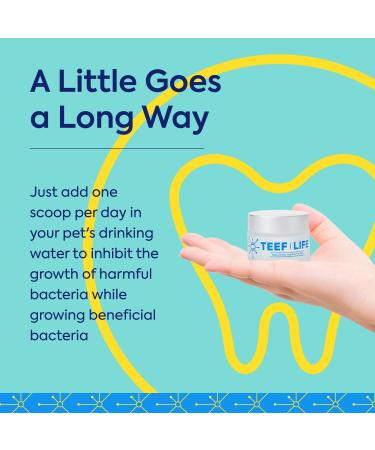 Protektin30 Plant-Derived Dental Water Additive for Cats Daily Dental Care Clinically-Proven Formula Naturally Fights Plaque and Tartar Dental Kit with 30 Servings Dental Kit (30 Servings) - Buy Online on GoSupps.com