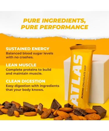 Atlas Protein Bar 10 Pack - Ultimate Variety Keto Snack for Breakfast and Pre/Post Workout - Chocolate Cacao, Peanut Butter, Chai, Almond, Raspberry, Mint - Pack of 1 - Buy Online on GoSupps.com