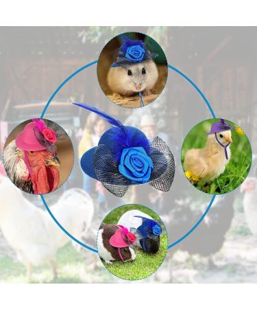 Elastic Chicken Hats for Hens - Set of 6 Funny Accessories for Rooster, Duck, Parrot - Stylish Poultry Costume - Buy Online on GoSupps.com