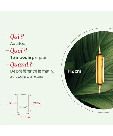 SUPERDIET - ORGANIC FAT BURNER QUARTET - Slimming -Green tea Papaya Oat bran Guarana -French manufacture - 20 ampoules of 15 ml - Buy Online on GoSupps.com