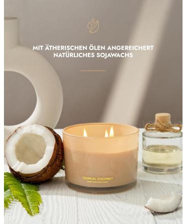 96north Luxury Coconut Candles | 3-Wick Natural Soy Wax | 40-Hour Burn | Perfect Wedding Gifts for Women | Fragrance in Glass - Buy Online on GoSupps.com