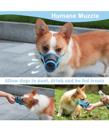 Mayerzon Adjustable Dog Muzzle - Breathable & Comfortable for Small Medium Large Dogs - Ideal for Biting Barking & Chewing (Blue Size S) - Buy Online on GoSupps.com