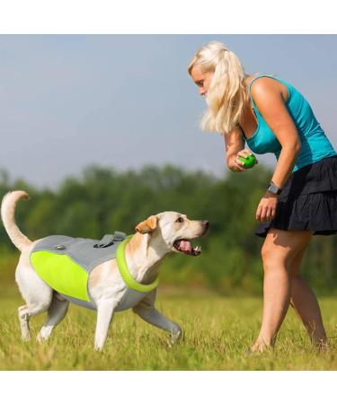 Shop Hjyokuso Cooling Vest for Dogs - Summer Cooling Jacket for Small Medium & Large Dogs - Perfect for Outdoor Activities & Training - Buy Online on GoSupps.com