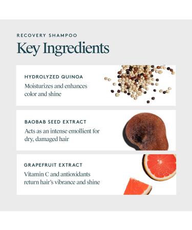 VIRTUE Recovery Sulfate Free Shampoo with Keratin and Baobab Seed Oil for Damaged Hair  Color Safe - Buy Online on GoSupps.com