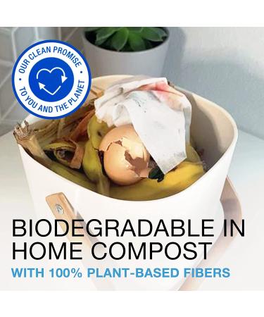 Buy Neutrogena Makeup Removing Wipes - 200 Cleansing Towelettes | International Shipping Available - Buy Online on GoSupps.com