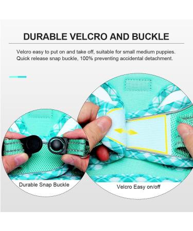Doramio Reflective Dog Harness for Small Dogs & Cats - Breathable Step-In Design with Leash - XS Light Green - Buy Online on GoSupps.com