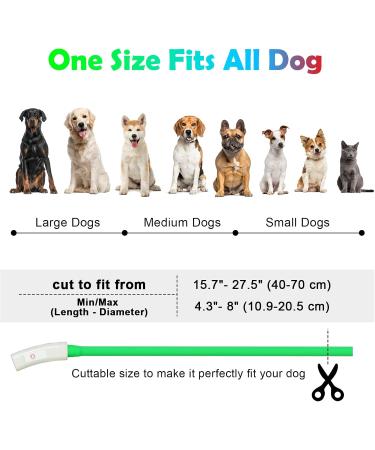 Auauy LED Neck Band for Dogs & Cats - USB Rechargeable Adjustable Waterproof Silicone Safety Collar with 4 Modes (Green) - Buy Online on GoSupps.com