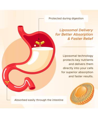 Liposomal Ceylon Cinnamon 980 mg Berberine + Gymnema Sylvestre | Advanced Absorption | Digestive Metabolic & Overall Health Support | 150 Capsules 150 count (pack of 1) - Buy Online on GoSupps.com