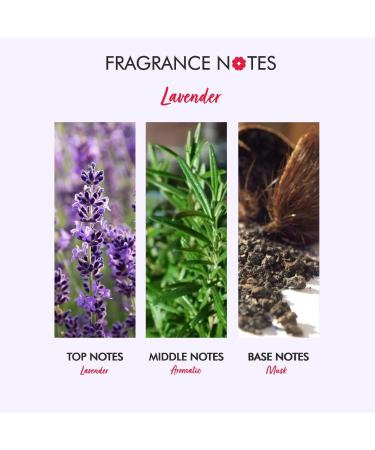 Lavender Bath & Shower Gel - Luxury Vegan Body Wash for Women & Men | 100ml - Skin Care Essentials - Buy Online on GoSupps.com