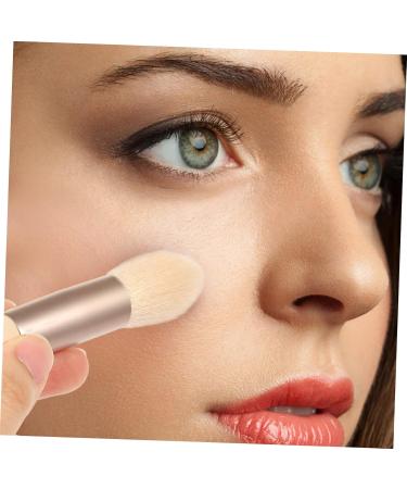 minkissy 4 Sets Travel Makeup Cosmetics Face Makeup Brush Eyeshadow Brush Makeup Brush for Women Powder Applicator Women Favor Lip Brush Portable Aluminum Tube Beauty Products Miss - Buy Online on GoSupps.com