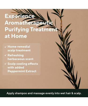 AROMATICA Tea Tree Purifying Tonic 3.38oz | Vegan & Paraben Free | Scalp Soothing & Cooling Formula | Promotes Healthy, Nourished Hair - Buy Online on GoSupps.com