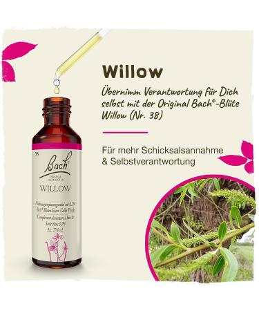 Original Bach Flower Drops No. 38 Willow - Cultivate Gratitude & Optimism | 20ml International Shipping - Buy Online on GoSupps.com