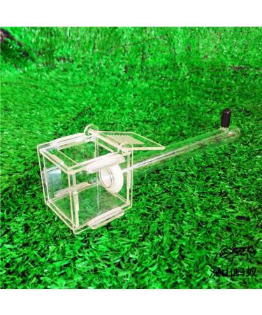 Junlinto Ant Nest Glass Tube Mini Ant Nest with Active Zone Insect House Acrylic Ant Farm - Buy Online on GoSupps.com