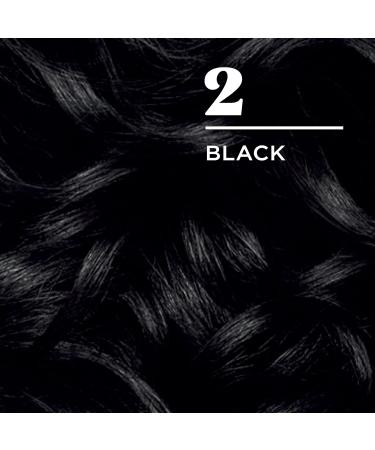 Clairol Nice'n Easy Permanent Hair Dye 2 Black - Pack of 3 - 6.26 Fl Oz - Buy Online on GoSupps.com