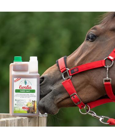 Ewalia Parex Juice Natural Support for the Gastrointestinal Wellness of Your Horse Protection and Strengthening of the Interior Developed with Veterinarians 100% Natural No Additives 3 - Buy Online on GoSupps.com