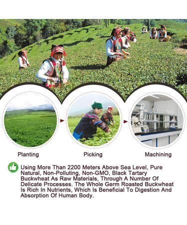 Buy Black Buckwheat Tea - Caffeine-Free Herbal Loose Leaf 240g | Tarty Chinese Tea - International Shipping - Buy Online on GoSupps.com