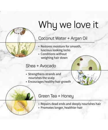 SpaLife All Natural Hair Mask 9-Pack - Assorted Hair Treatments - Buy Online on GoSupps.com