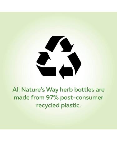 Nature's Way Astragalus Root Capsules 470mg - 100 Count - Pack of 1 - Buy Online on GoSupps.com