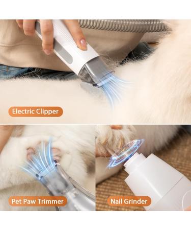Afloia Dog Grooming Kit with Vacuum Clippers - Professional 7-Piece Pet Hair Shedding Tools - 1.5L Suction for Cat & Dog Grooming - Buy Online on GoSupps.com