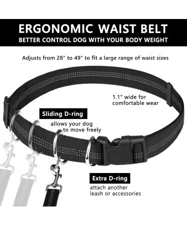 Pet Room Jogging Leash for Dogs - Elastic & Reflective Running Leash with Hip Belt for Large & Medium Dogs - Perfect for Running Jogging & Hiking - Buy Online on GoSupps.com