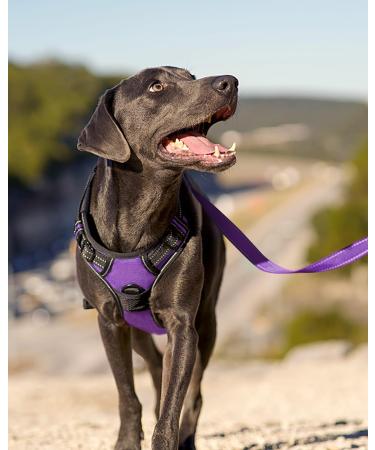 Joytale Large Dog Harness - Reflective Soft Padded Adjustable Breast Harness for Dogs - Breathable Control Handle - Purple (1 Pack) - Buy Online on GoSupps.com