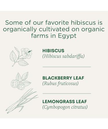 Traditional Medicinals - Organic Hibiscus Herbal Tea (Pack of 6) - Fair Trade Ingredients - Tart Tangy and Fruity - 96 Tea Bags Total Tea Hibiscus 16 count (Pack of 6) - Buy Online on GoSupps.com