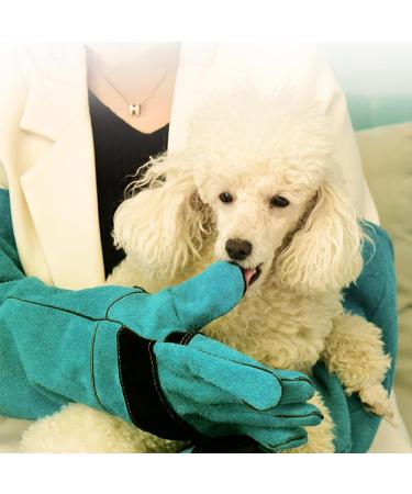 Protective Gloves for Pets - Cut-proof Gloves for Handling Animals Gloves for Handling Pets Dog Protection Gloves with Leather Padding Animal Bite Resistant Care Han 60 Cm-green - Buy Online on GoSupps.com