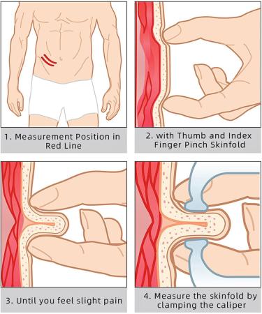 Hemoton Body Fat Calipers with Measuring Tape Precision Skin Fold Caliper for Men & Women | Weight Control Device (2 Pieces) - Buy Online on GoSupps.com