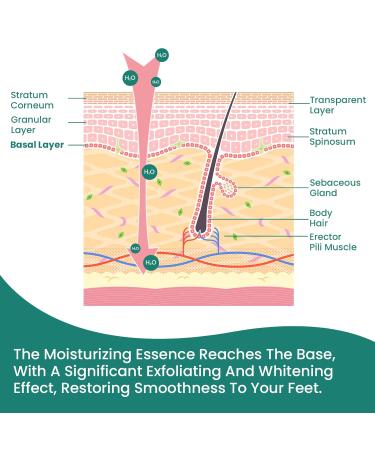 Welnove Moisturizing Heel Socks Aloe Vera Infused Gel for Dry Feet & Cracked Heels 2 Pairs Cotton Foot Care Socks for Men & Women Blue Regular Size - Buy Online on GoSupps.com