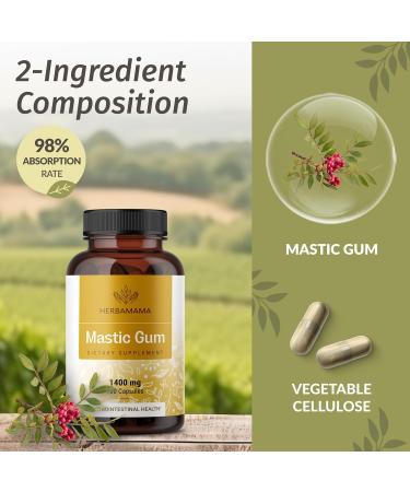 HERBAMAMA Mastic Gum and Turmeric Kit - Bundle of 1400 mg Mastic Gum Capsules & Turmeric Curcumin Tincture 4 fl oz - Vegan Non-GMO Sugar & Alcohol-Free - 2 Pack - Buy Online on GoSupps.com