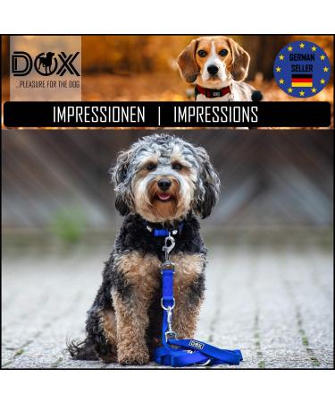DDOXX Reflective Nylon Dog Leash - 2m 3-Way Adjustable for All Dog Sizes - XS Purple (1.0 x 200 cm) - International Shipping Available - Buy Online on GoSupps.com