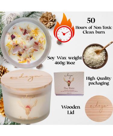 Christmas Candle Natural Soy 3 Wick with Healing Crystals & Flowers - Carnival Cardamom Scent | 55+ Hours Burning | Gift Box | Best Christmas Gift - Buy Online on GoSupps.com