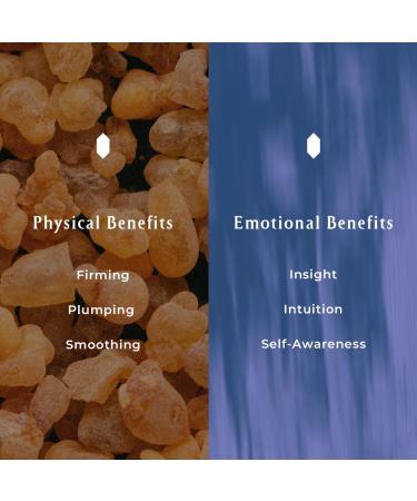 INNA Organic Lip Balm Moisturizing Fine Line Care & 100% Vegan Lip Serum EWG & COSMOS Certified | Frankincense Essential Oils Infused Skin Care | Luxury Clean Beauty - Buy Online on GoSupps.com