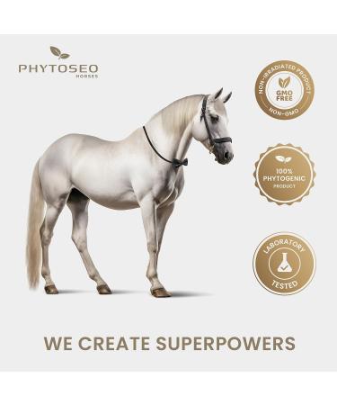 Phytoseo Herb Mix Phyto Horse 3 - for Nervous Horses - 1 kg - Buy Online on GoSupps.com