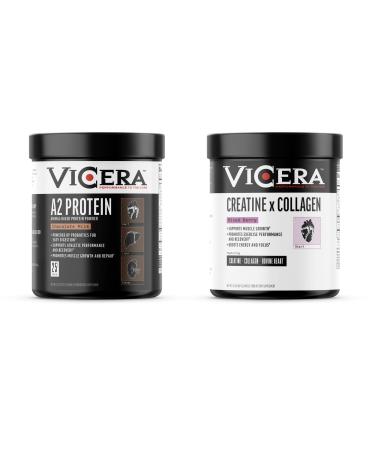 Chocolate Protein + Berry Flavor Creatine Collagen Powder A2/A2 Whey Casein Protein with Probiotics and Celtic Sea Salt (20 Servings) Creatine and Collagen Supplement Gluten Free (30 Servings)