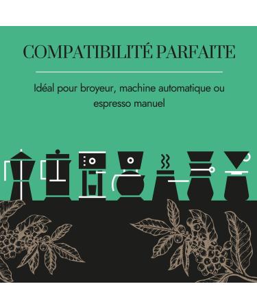 Caf En Grain Presto Expresso Doux 500gr | 100% Arabica Torr fi L Italienne | Espresso L ger Et Velout | Ar mes De Noisette Et Chocolat | Id al Machine Caf Grain - Buy Online on GoSupps.com