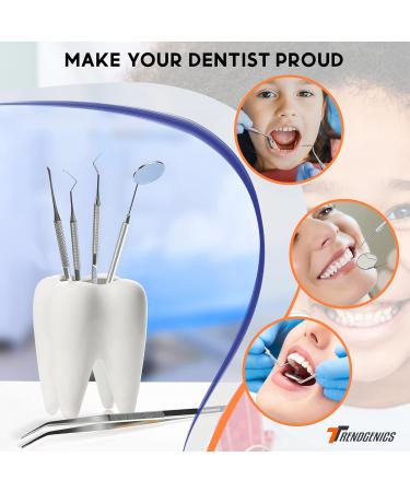Professional Dental Tools Kit - Stainless Steel Plaque & Calculus Remover Tooth Cleaning Picks Mirror & Tongue Scraper - Dentist-Approved Hygiene Set for Teeth Care - Buy Online on GoSupps.com