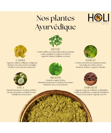 Box Coloration Cheveux Miel pour un Blond Clair aux Reflets Dor s Cuivr s | Henne Cheveux | 100% V g tale et Naturelle | Vegan | Couleur Blond Clair Chaud Lumineux - Buy Online on GoSupps.com