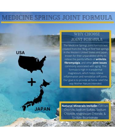 Medicine Springs Mineral Therapy Healing Spray Professional Serious 8oz (from Natural hot Springs) (Joint (Professional)) - Buy Online on GoSupps.com
