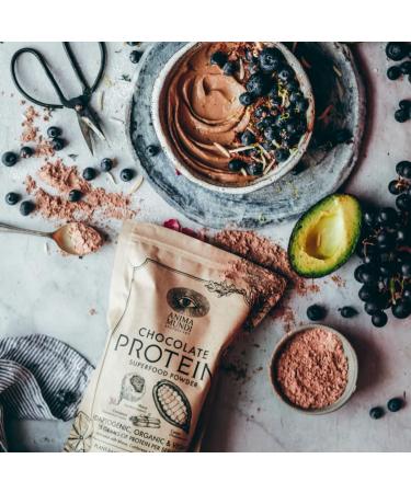 Anima Mundi Chocolate Protein Superfood Powder - Organic Vegan Plant-Based Protein for Energy & Strength - Nutrient-Dense Adaptogen Blend (567g - Buy Online on GoSupps.com